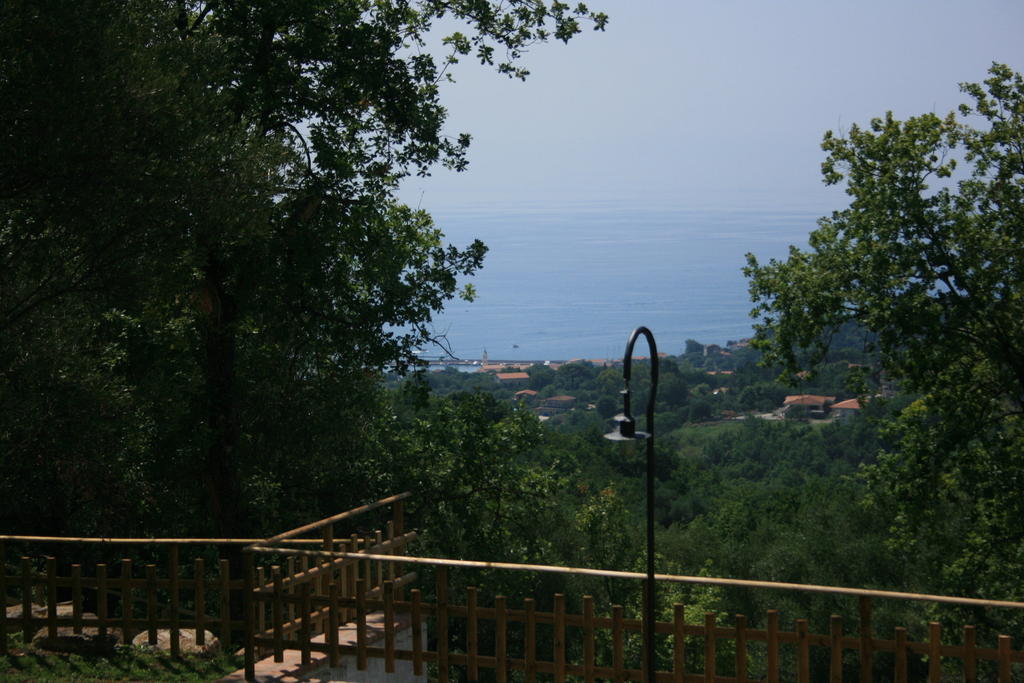 Al Boschetto Apartment Scario Exterior photo