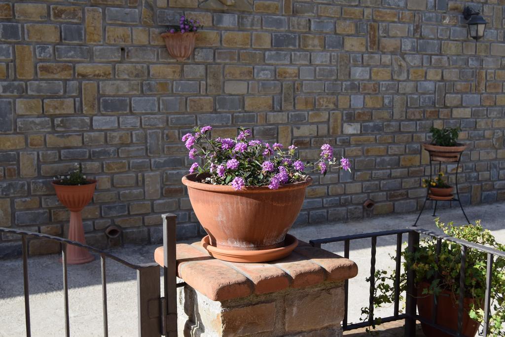 Al Boschetto Apartment Scario Exterior photo