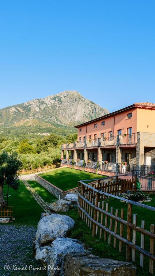Al Boschetto Apartment Scario Exterior photo